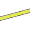 WW NW CW White light Single Color light strip